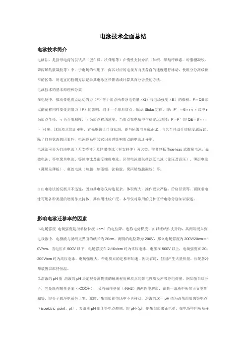 电泳技术全面总结