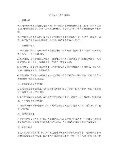 天车安全自查自纠报告