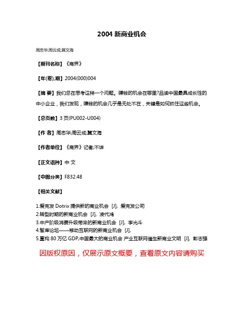 2004新商业机会