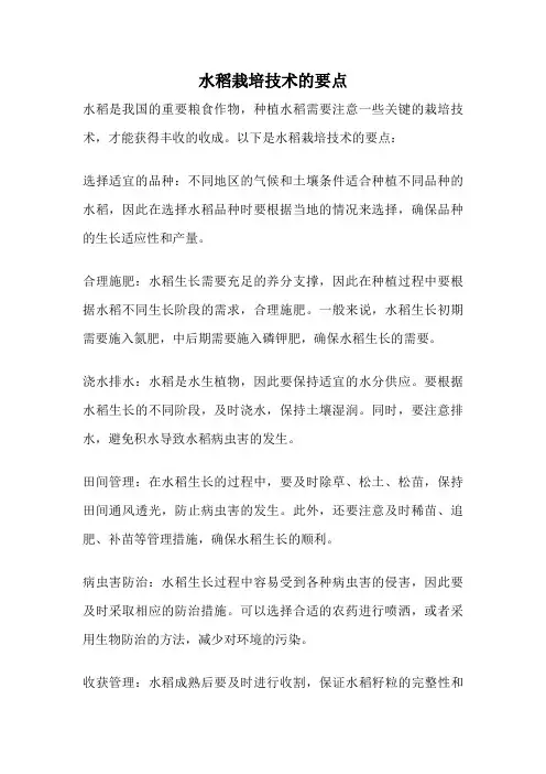 水稻栽培技术的要点