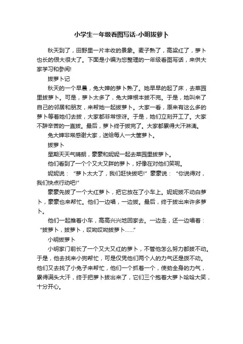 小学生一年级看图写话-小明拔萝卜