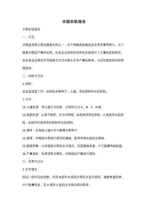 水稻实验报告