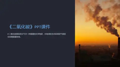 《二氧化碳》课件