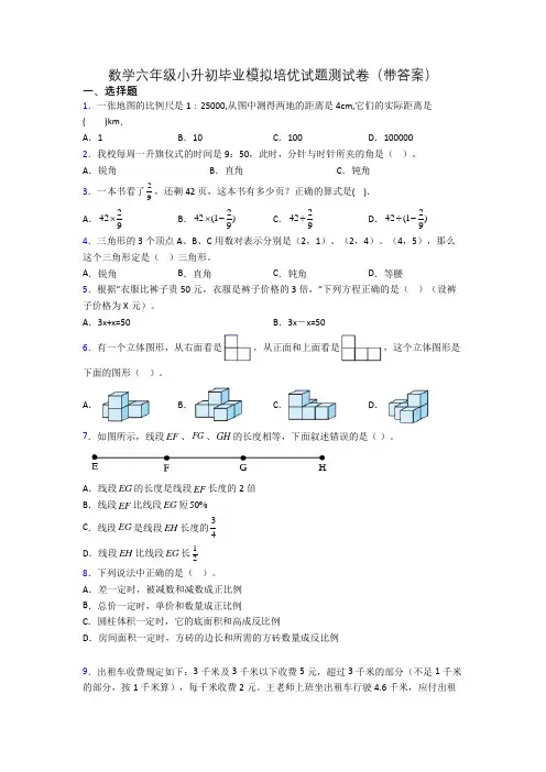 数学六年级小升初毕业模拟培优试题测试卷(带答案)