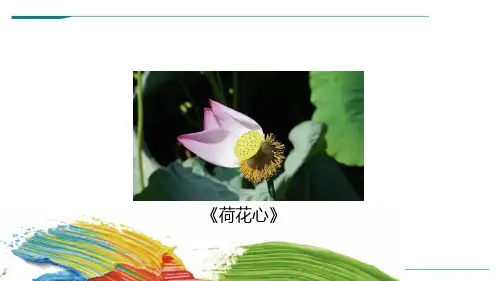 2024年《荷花心》-美术课件