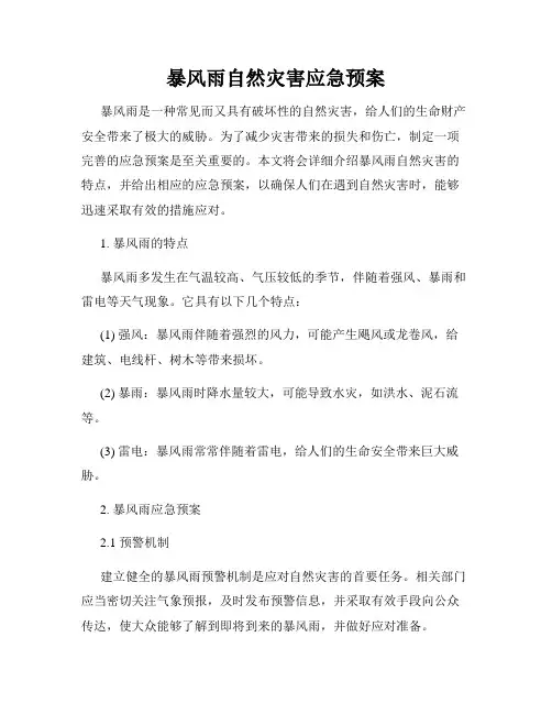 暴风雨自然灾害应急预案