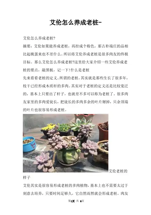艾伦怎么养成老桩