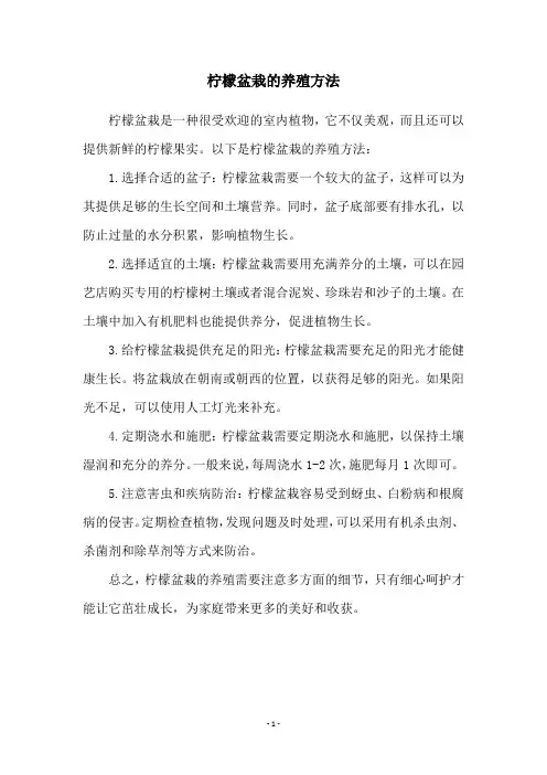 柠檬盆栽的养殖方法