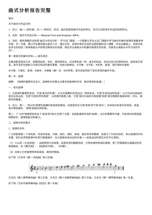 曲式分析报告完整