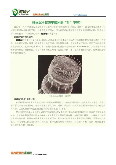 硅藻泥不仅吸甲醛还能“吐”甲醛
