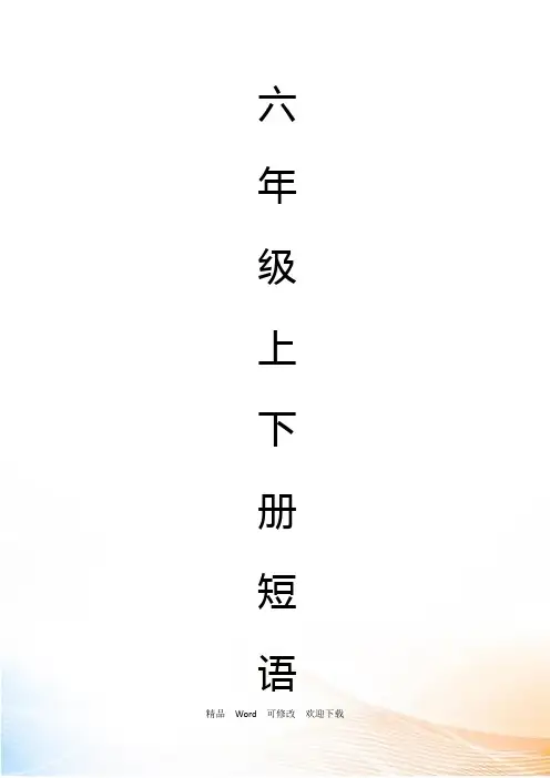人教PEP版六级下册英语小升初重点单词及短语汇总