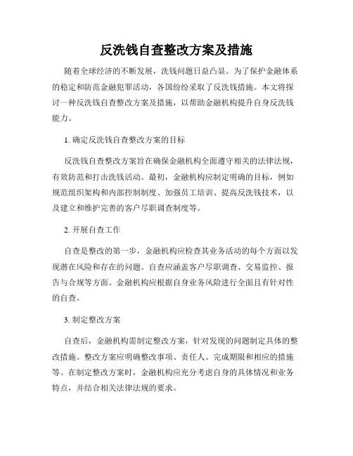反洗钱自查整改方案及措施