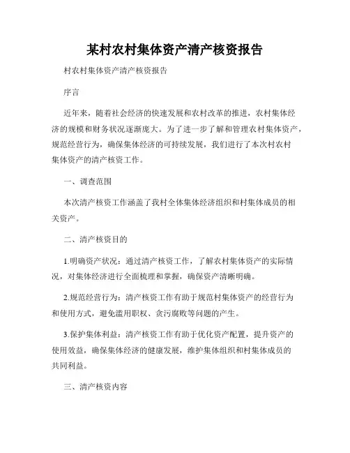 某村农村集体资产清产核资报告