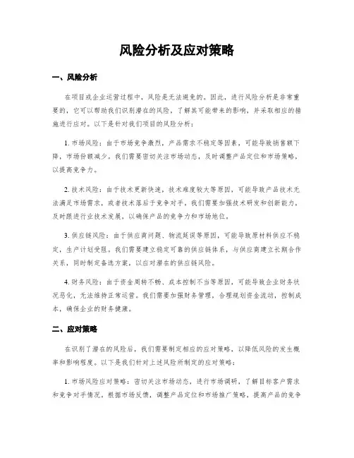 风险分析及应对策略