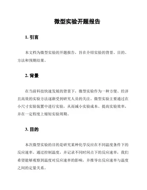 微型实验开题报告