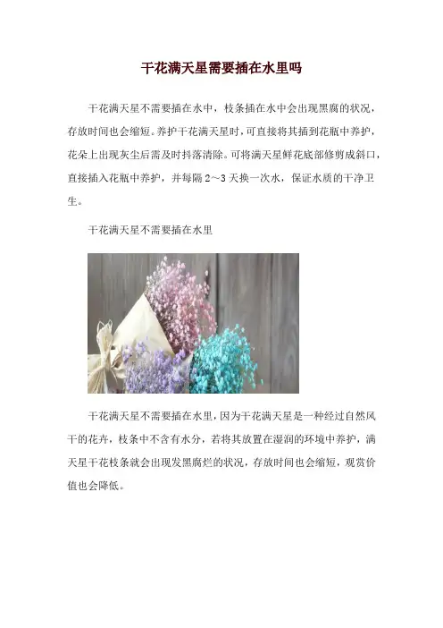 干花满天星需要插在水里吗