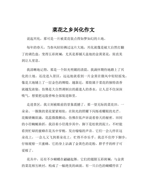 菜花之乡兴化作文