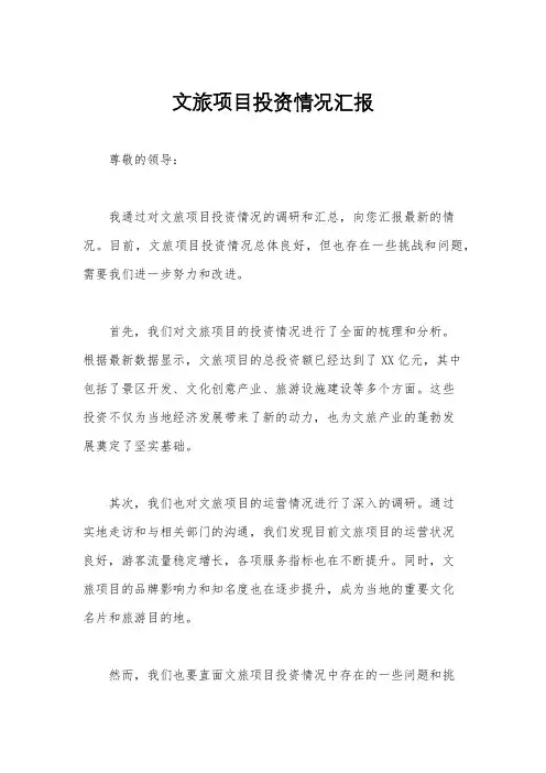 文旅项目投资情况汇报