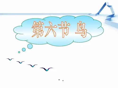《鸟》动物的主要类群PPT课件3