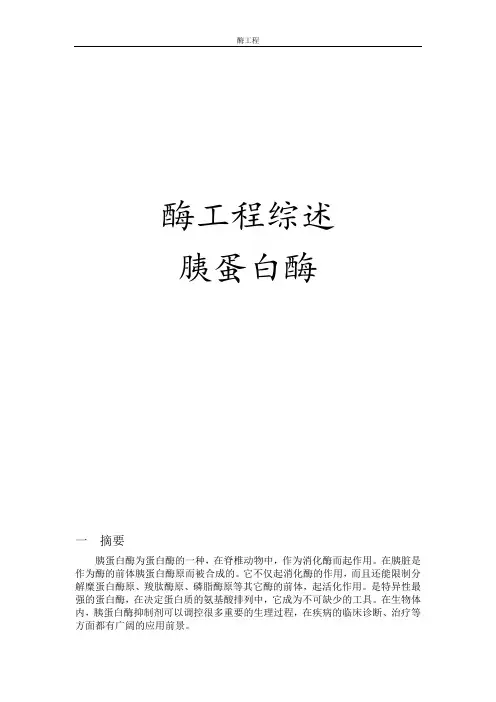 酶工程综述