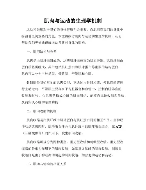 肌肉与运动的生理学机制