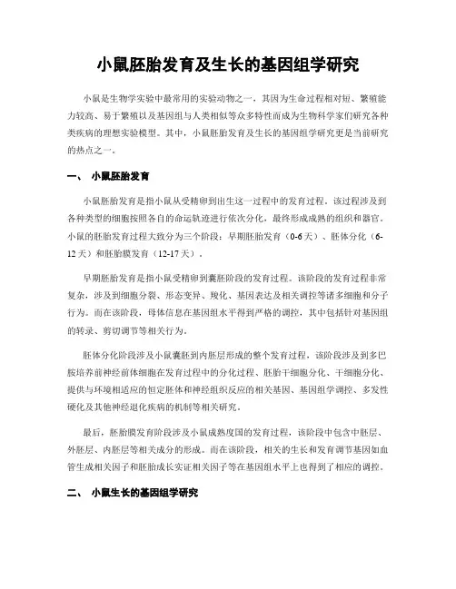 小鼠胚胎发育及生长的基因组学研究