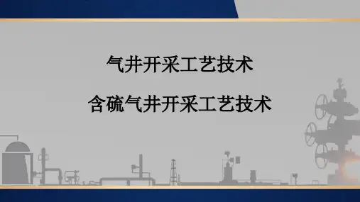采气井站生产与管理：含硫气井开采工艺技术