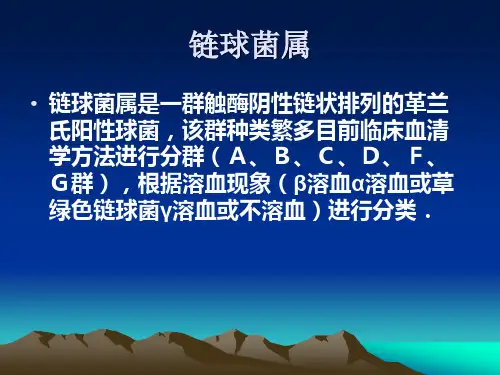 链球菌属