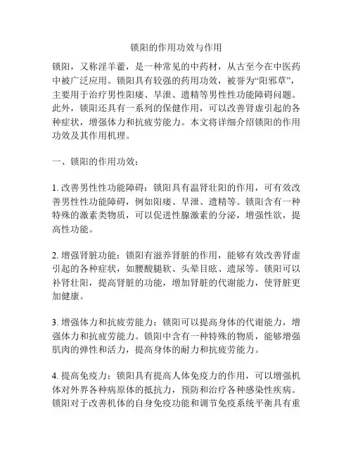 锁阳的作用功效与作用