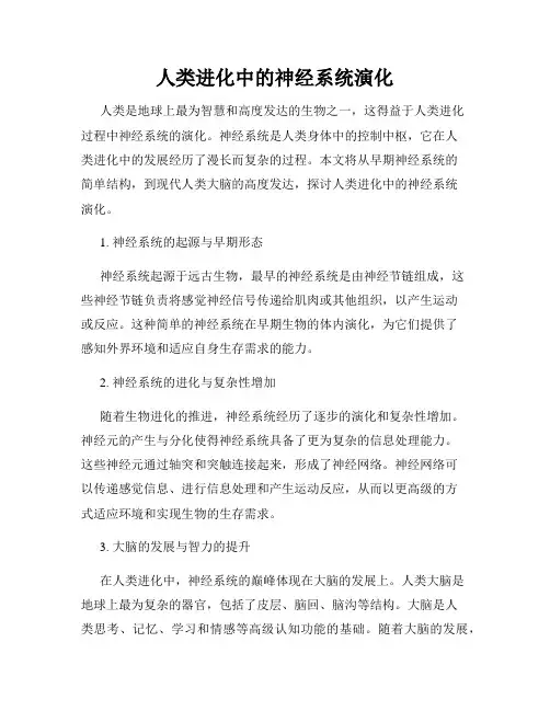 人类进化中的神经系统演化