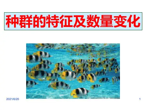 种群的特征和数量变化复习课件