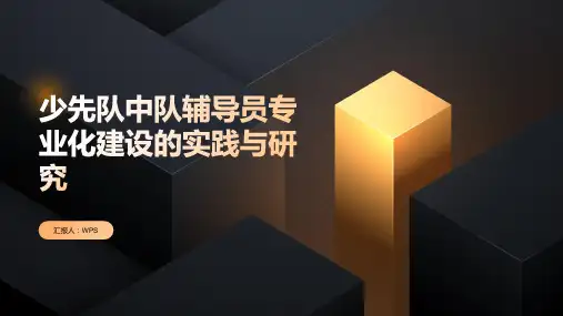少先队中队辅导员专业化建设的实践与研究