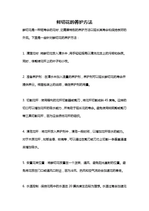 鲜切花的养护方法