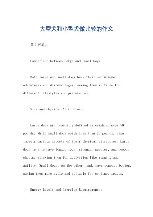 大型犬和小型犬做比较的作文