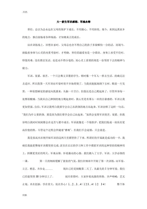 大一新生军训感想：军魂永铸