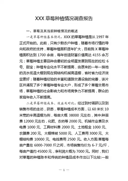 XX镇草莓种植调研报告