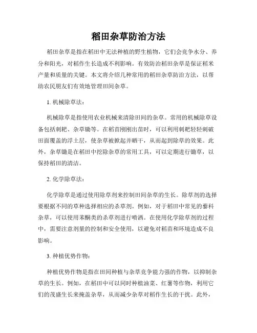 稻田杂草防治方法