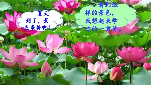 部编一年级下册《古诗二首》池上 小池  完美课件