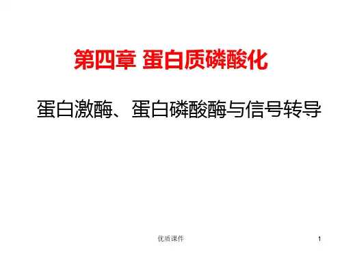 蛋白磷酸化与蛋白激酶(医学相关)