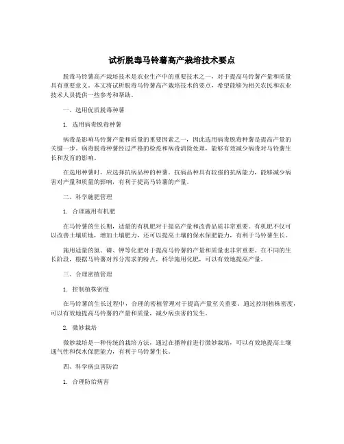 试析脱毒马铃薯高产栽培技术要点