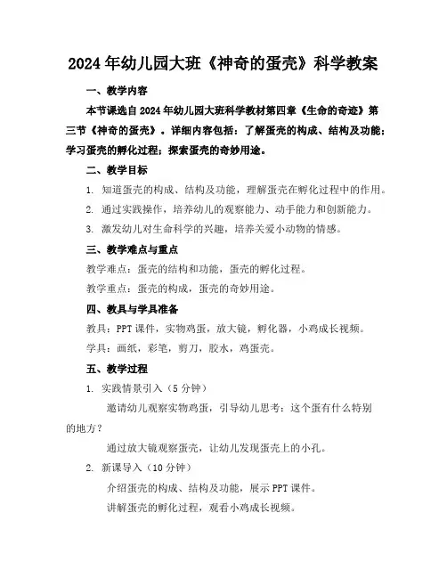 2024年幼儿园大班《神奇的蛋壳》科学教案