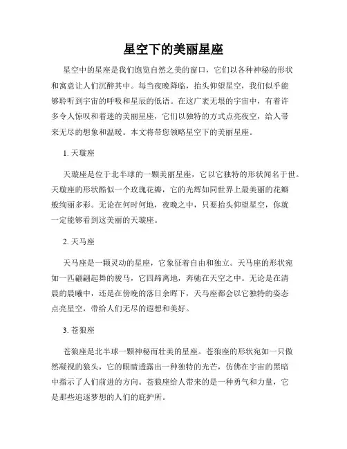 星空下的美丽星座