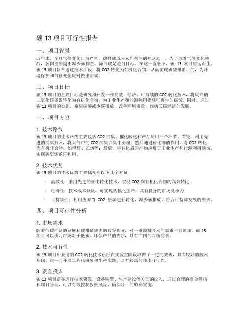 碳13项目可行性报告