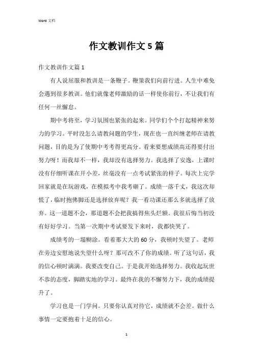 作文教训作文5篇