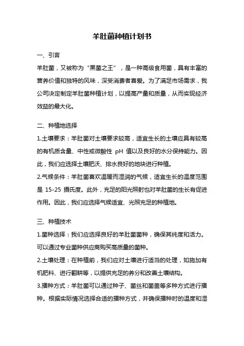 羊肚菌种植计划书