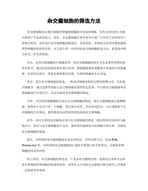 杂交瘤细胞的筛选方法