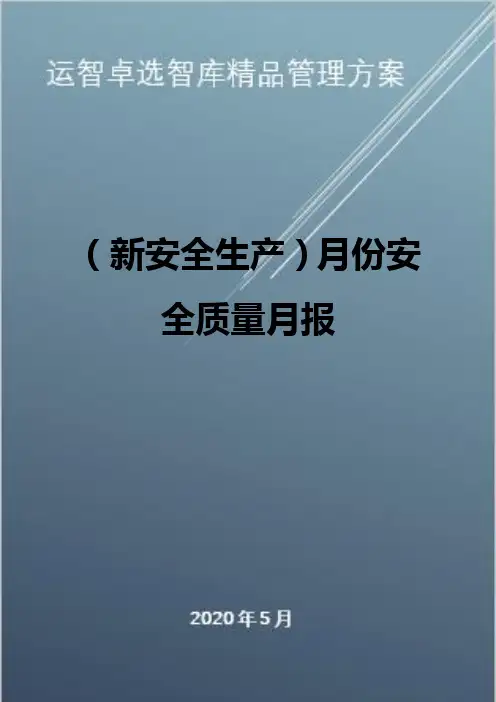 (新安全生产)月份安全质量月报