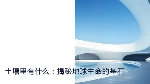 土壤里有什么