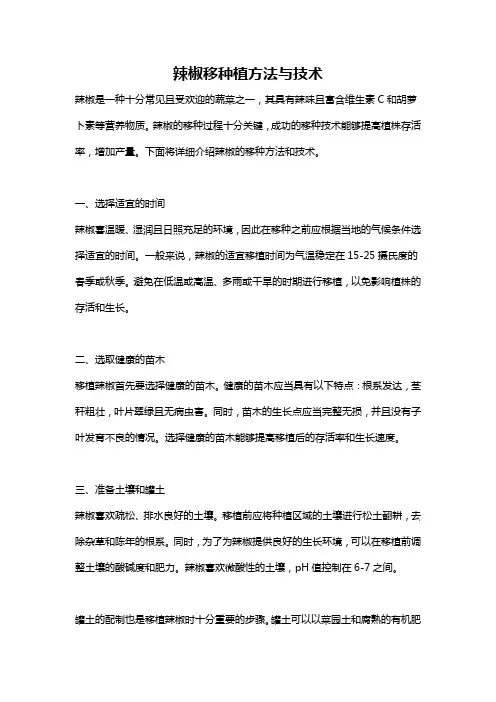 辣椒移种植方法与技术