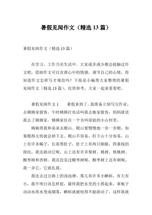 暑假见闻作文(精选13篇)